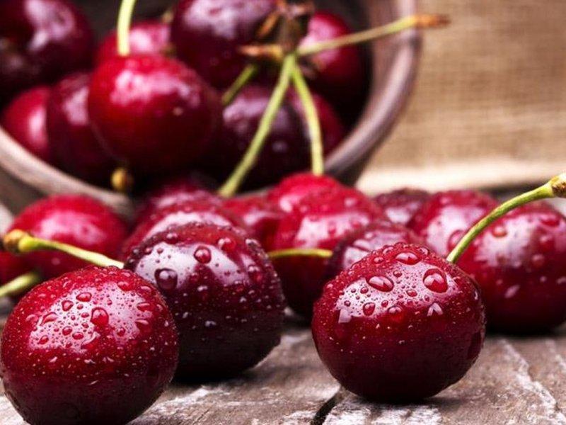 Вишня купить саженцы из питомника в Макеевке